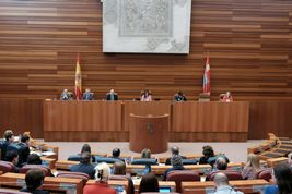 Declaración Institucional Cortes Castilla y León Autismo