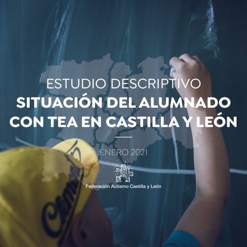 Estudio descriptivo de la situación del alumnado con TEA en Castilla y León