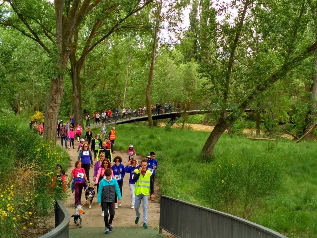 marcha-perruna-autismo-palencia-1024x768 Noticias