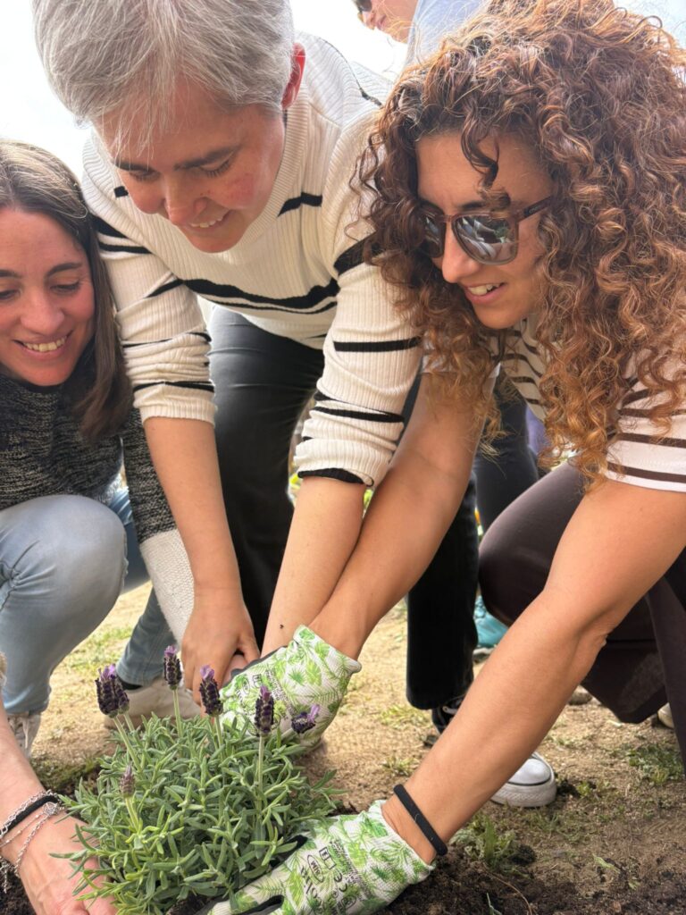 180526-Horti-practica-Avila-11-768x1024 Presentamos los resultados finales de Horti ASD