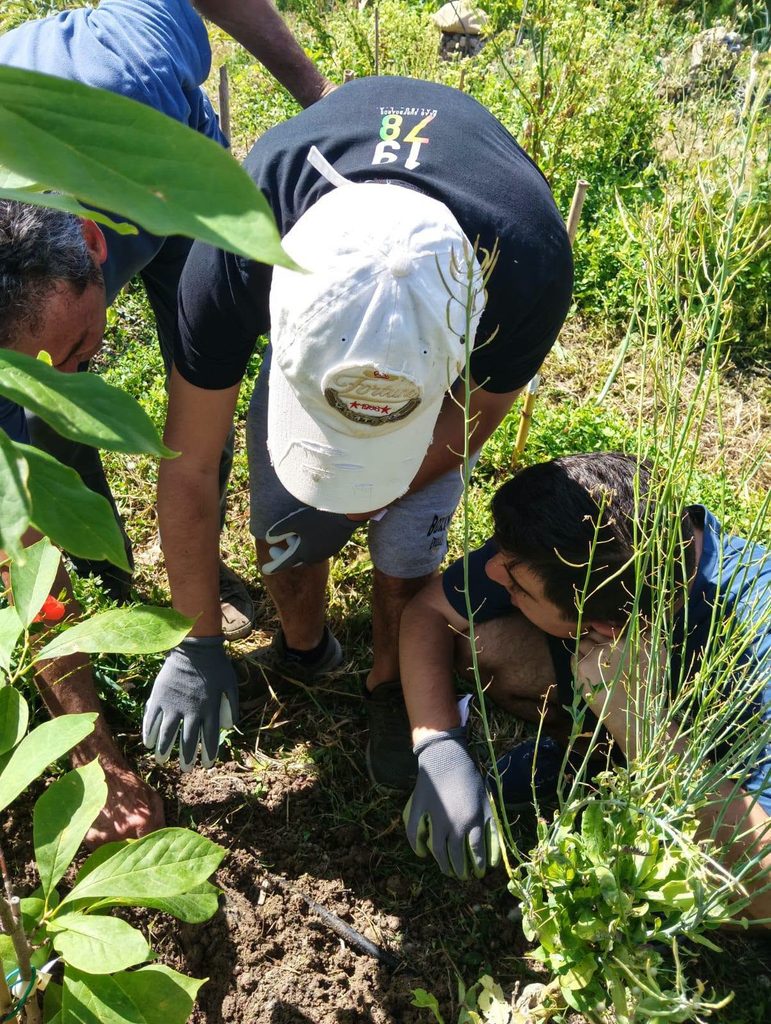 Horti-practica-Italia-9-771x1024 Presentamos los resultados finales de Horti ASD